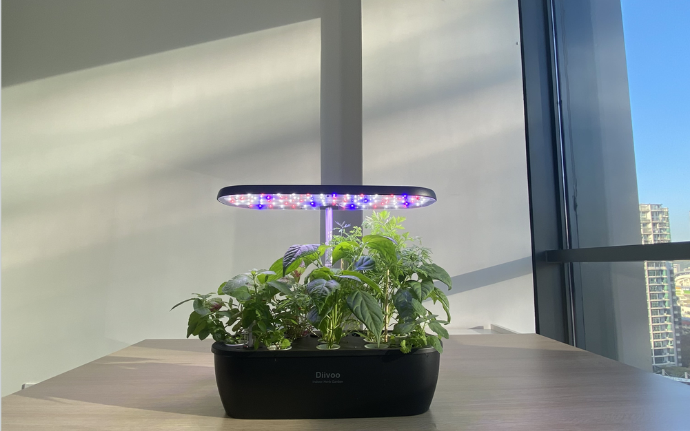 Diivoo 12 Pods Hydroponics Growing System with Grow Light, Smart Garden Planter for Family Home Kitchen, Automatic Cycle Timer Germination Kit, Height Adjustable