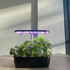 Diivoo 12 Pods Hydroponics Growing System with Grow Light, Smart Garden Planter for Family Home Kitchen, Automatic Cycle Timer Germination Kit, Height Adjustable
