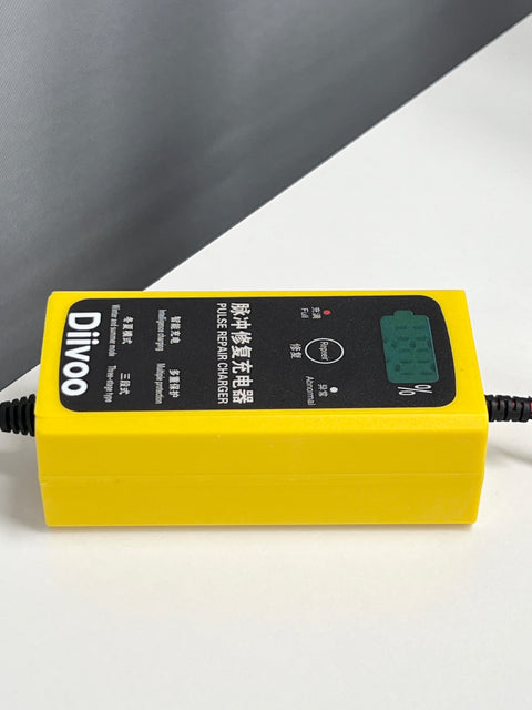 Diivoo Automotive Pulse Repair Charger