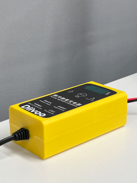 Diivoo Automotive Pulse Repair Charger
