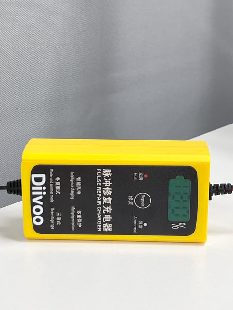 Diivoo Automotive Pulse Repair Charger