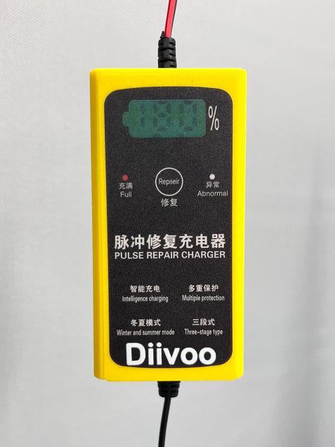 Diivoo Automotive Pulse Repair Charger