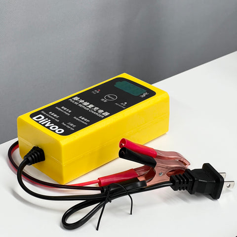 Diivoo Automotive Pulse Repair Charger