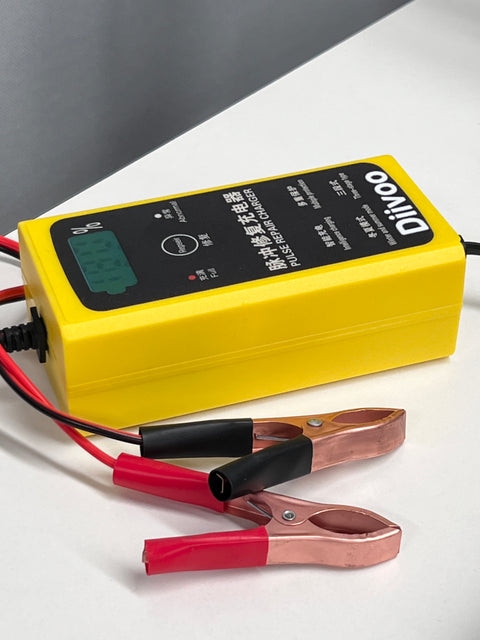 Diivoo Automotive Pulse Repair Charger