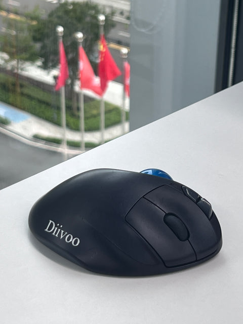 DIIVOO Computer Peripheral: Wireless Ergonomic Trackball Mouse
