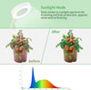 Sunlight Mode: More similar to sunlight spectrum forflowering and fruit production, appearswhite and no flickring