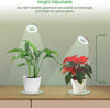 Height Adjustable: Our 360°rotatable gooseneck can provide an ideal angleand height for various plants.