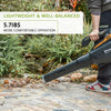 Diivoo Cordless Leaf Blower with 40 V Brushless Motor