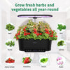 Grow fresh herbs and vegetables all year-round